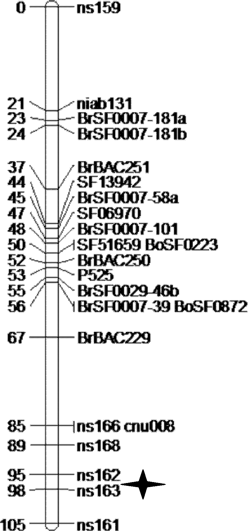 SNP (Single Nucleotide Polymorphism) classification method and application based on PCR (Polymerase Chain Reaction)