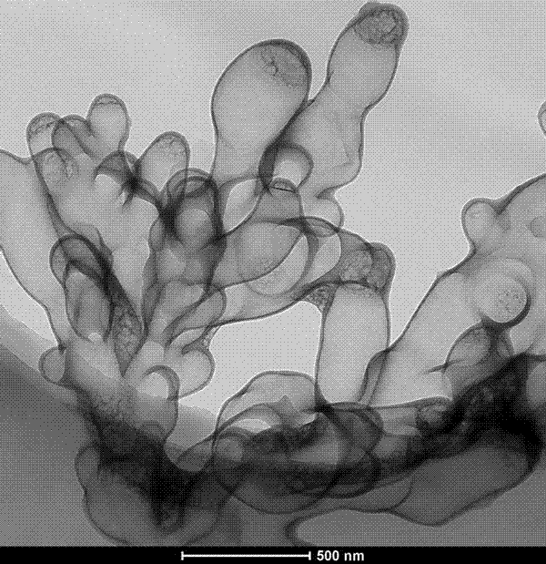 Dendritic three-dimensional graphene and its preparation method