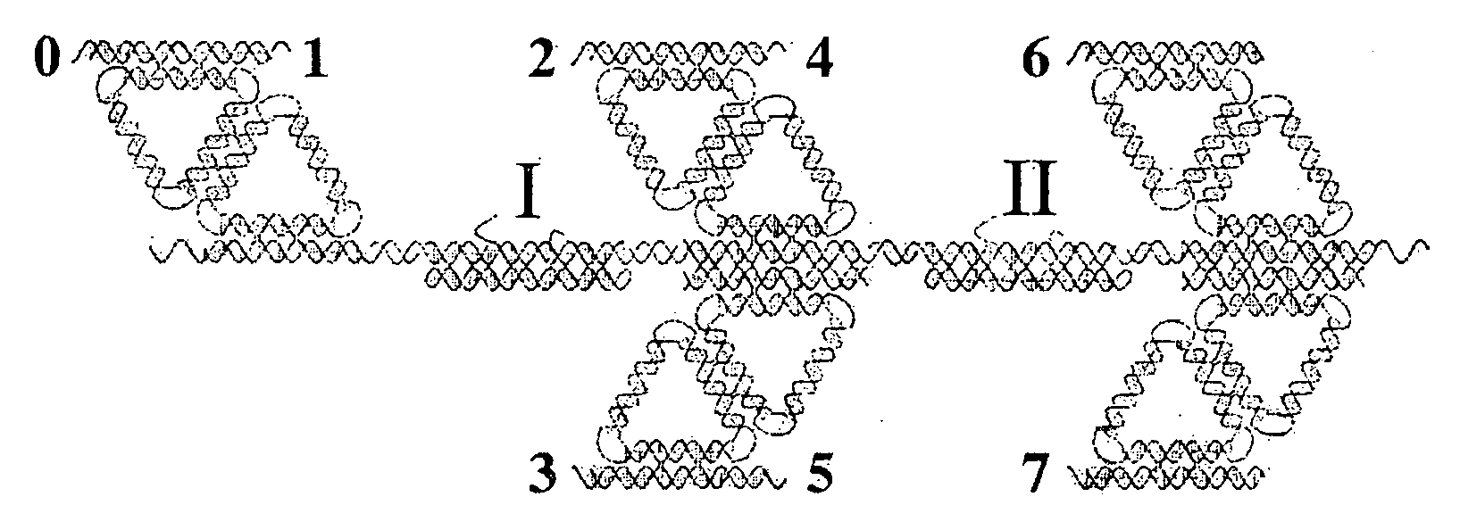 Nucleic acid-based translation system and method for decoding nucleic acid encrypted message