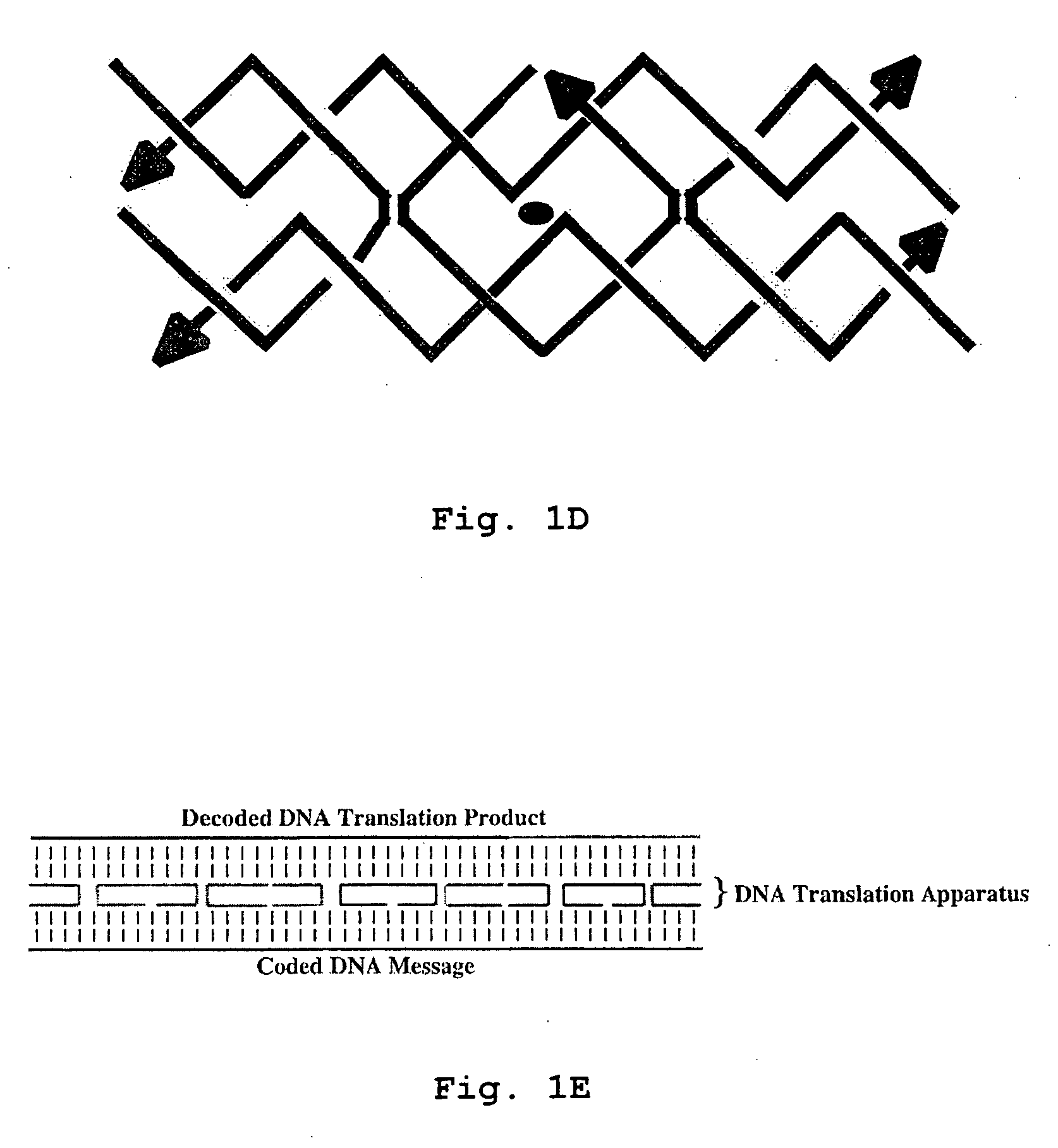 Nucleic acid-based translation system and method for decoding nucleic acid encrypted message