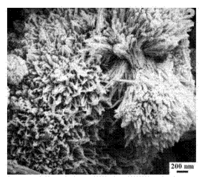 Chrysanthemum-shaped cobaltosic oxide (Co3O4) material and preparation method and application thereof
