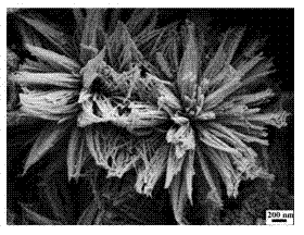 Chrysanthemum-shaped cobaltosic oxide (Co3O4) material and preparation method and application thereof