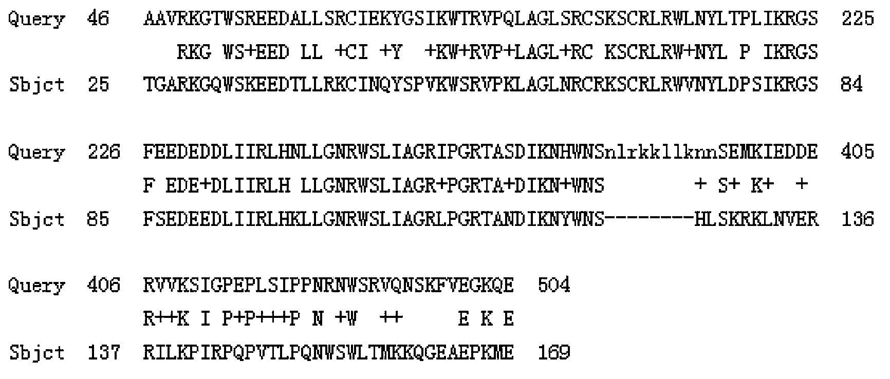 Tulip TfMYB2 protein and coding gene thereof as well as probe