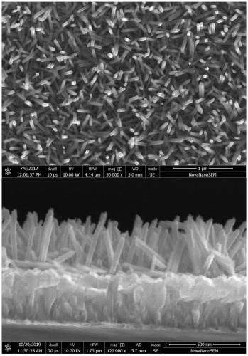 Titanium dioxide/polyhexaaza-naphthalene triphenylamine core-shell structure composite film as well as preparation method and application of titanium dioxide/polyhexaaza-naphthalene triphenylamine core-shell structure composite film