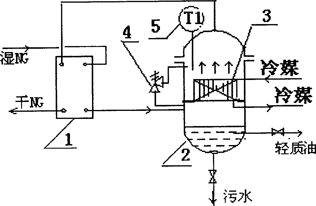 Process for lyophilization and heavy hydrocarbon removal of petroleum natural gas