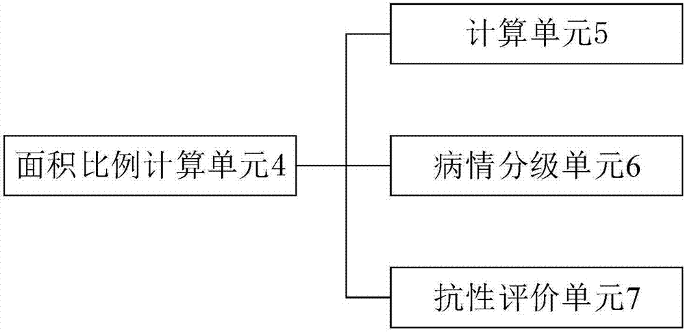 Device for calculating area proportion of disease spot of corn southern leaf blight