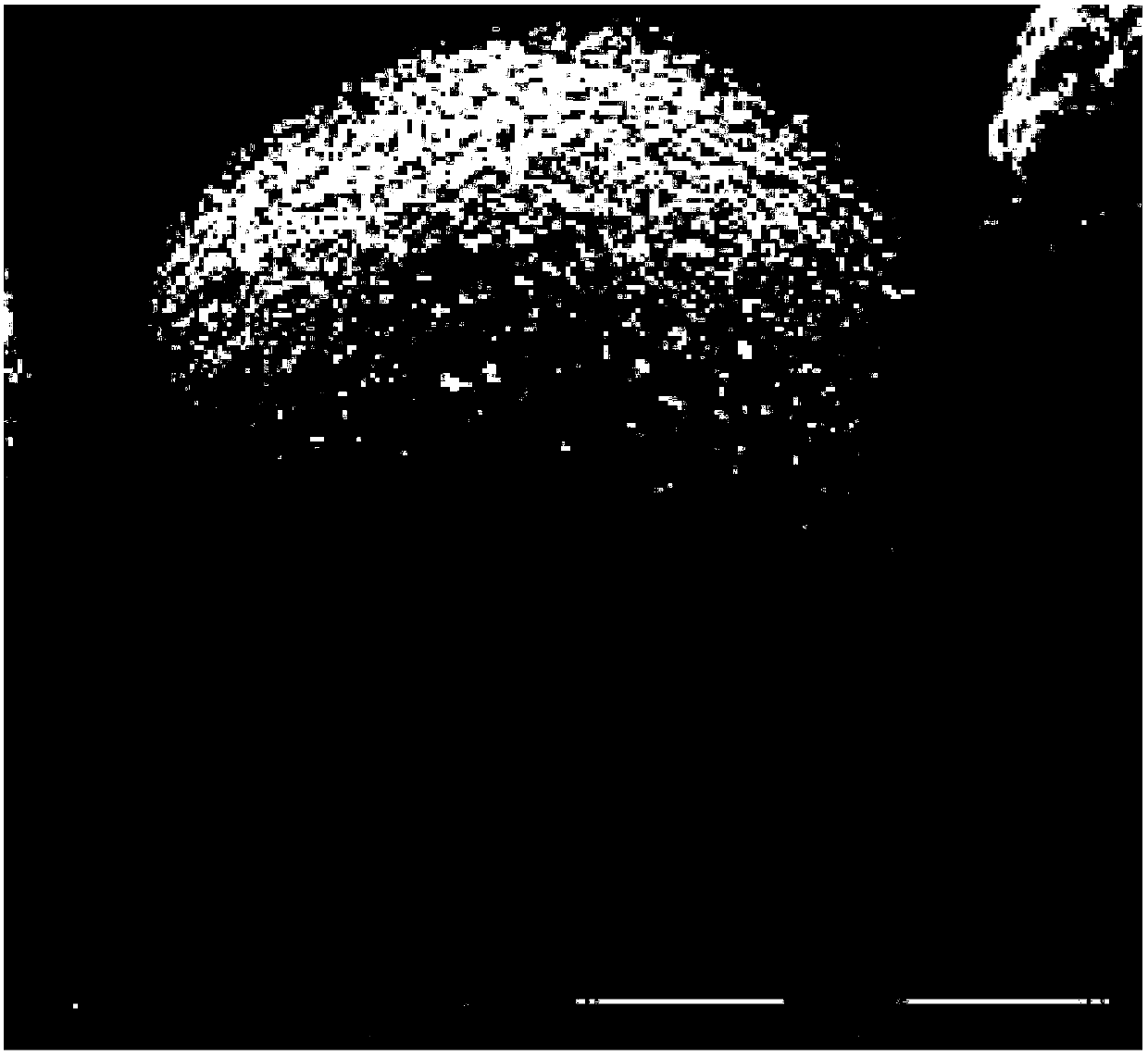 Method for in-situ synthesis of ZSM-5 through kaolin microspheres