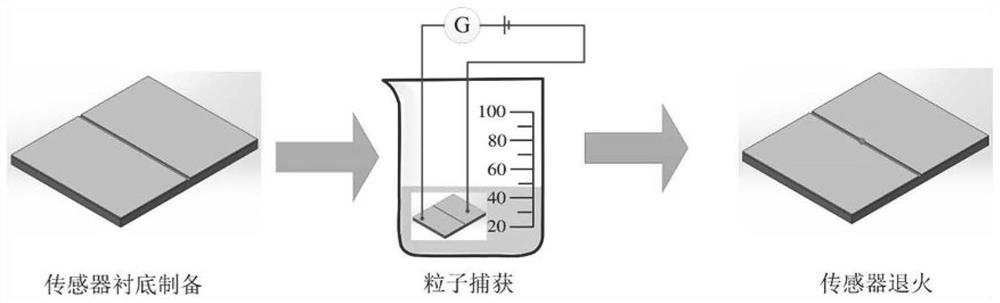 A single particle sensitive gas sensor and its preparation method and application