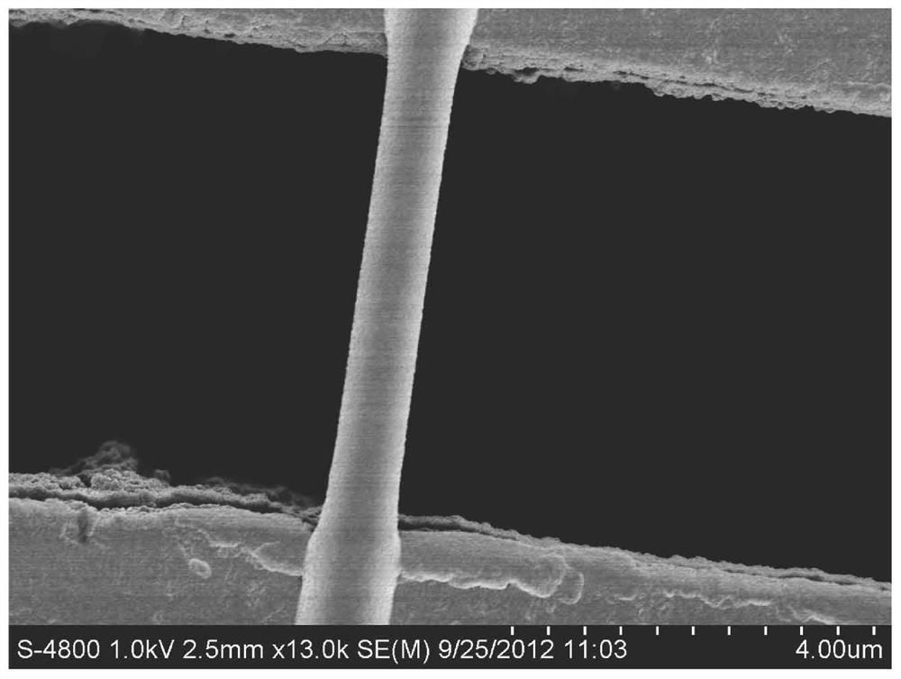 A single particle sensitive gas sensor and its preparation method and application