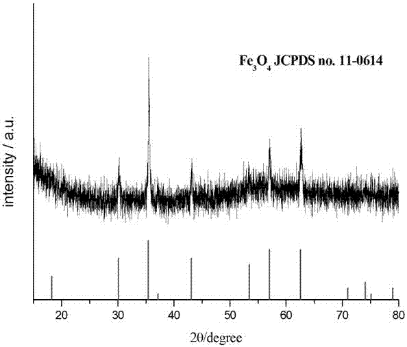 Preparation method of magnetic colloid core-shell structured gamma-Fe2O3 and Fe3O4