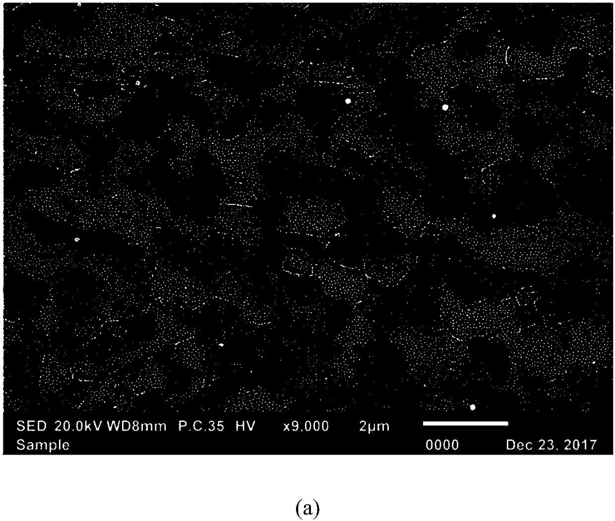 Strain measuring method based on SEM in-situ imaging system