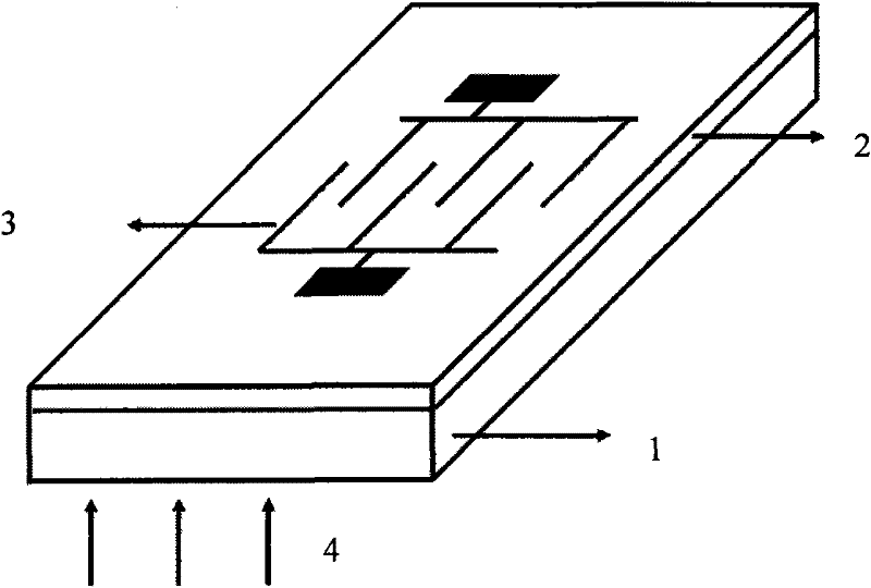 Back incident-type TiO2 UV detector and preparation method thereof