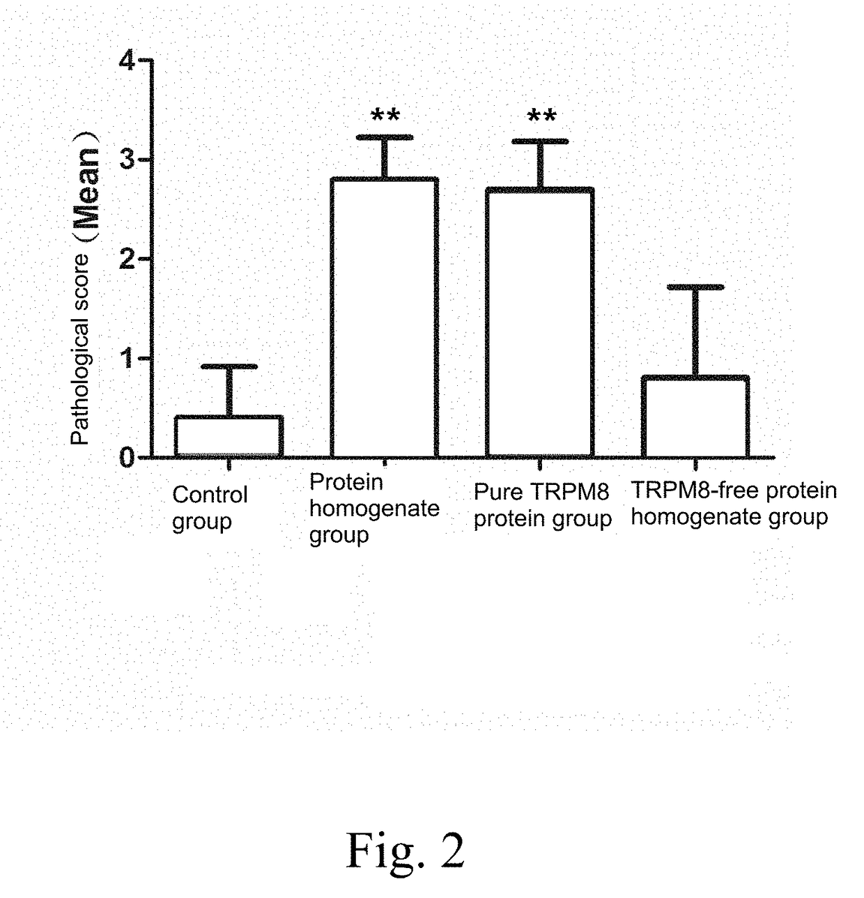 Application of TRPM8 protein, related peptide fragment and their antibodies
