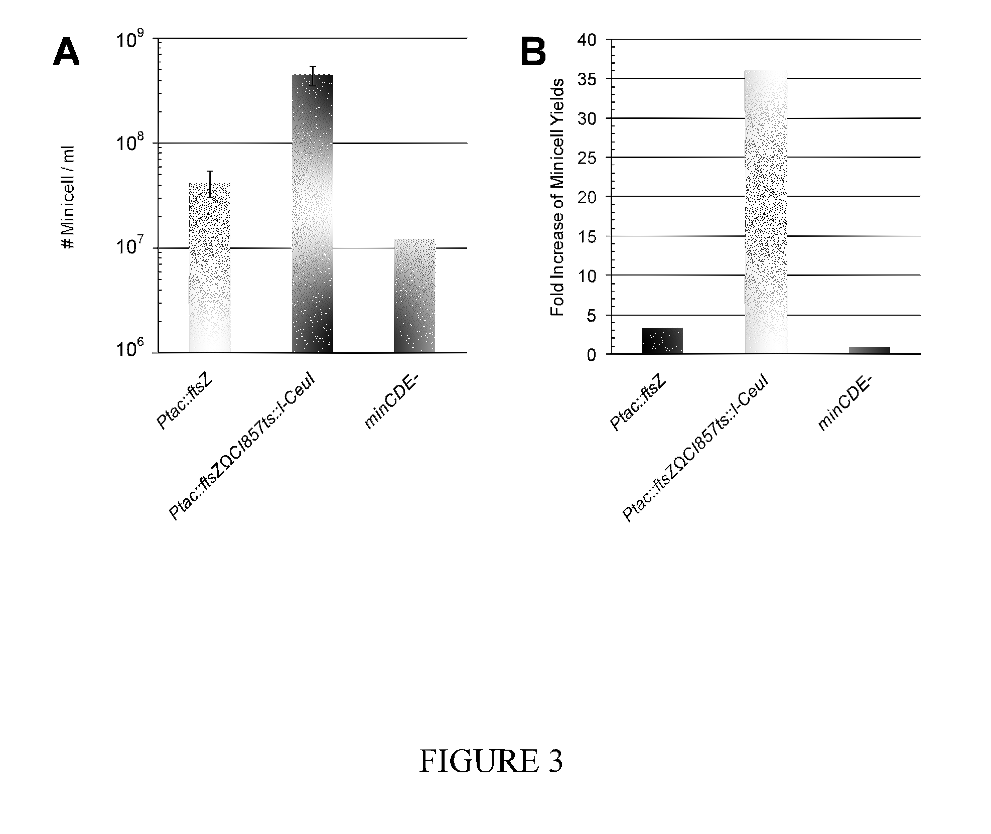 Regulated genetic suicide mechanism compositions and methods