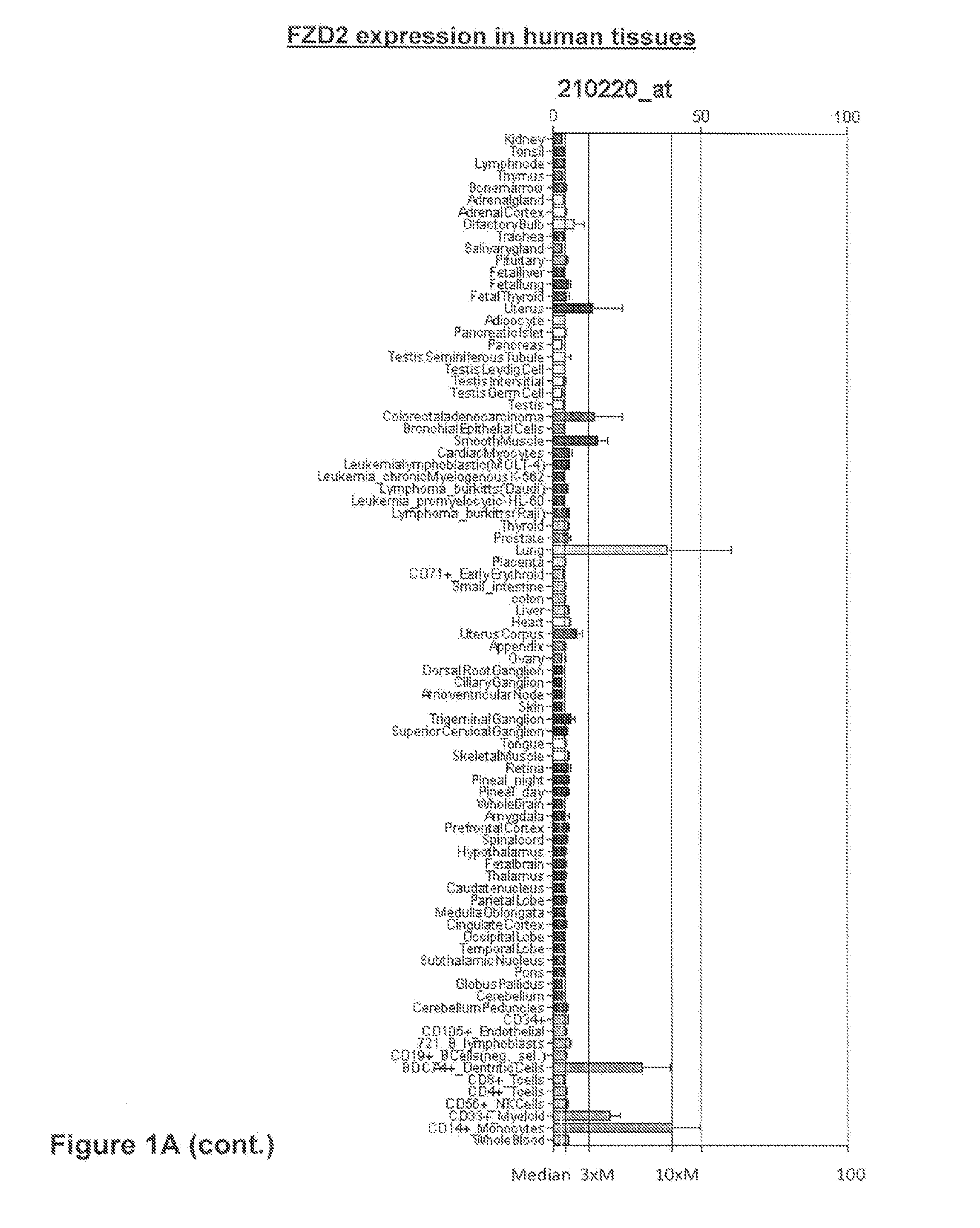 Frizzled receptor antibodies for treatment of cancer