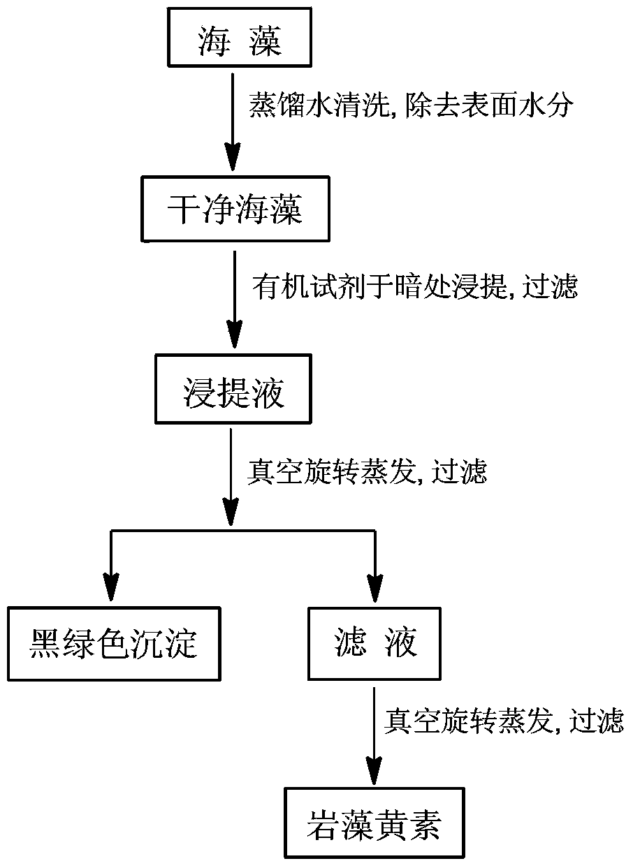 Method for extracting high-purity fucoxanthin from seaweeds