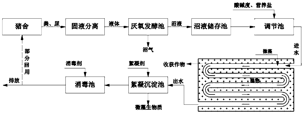 A continuous system using microalgae and aquatic plants to jointly treat pig biogas slurry with high ammonia nitrogen