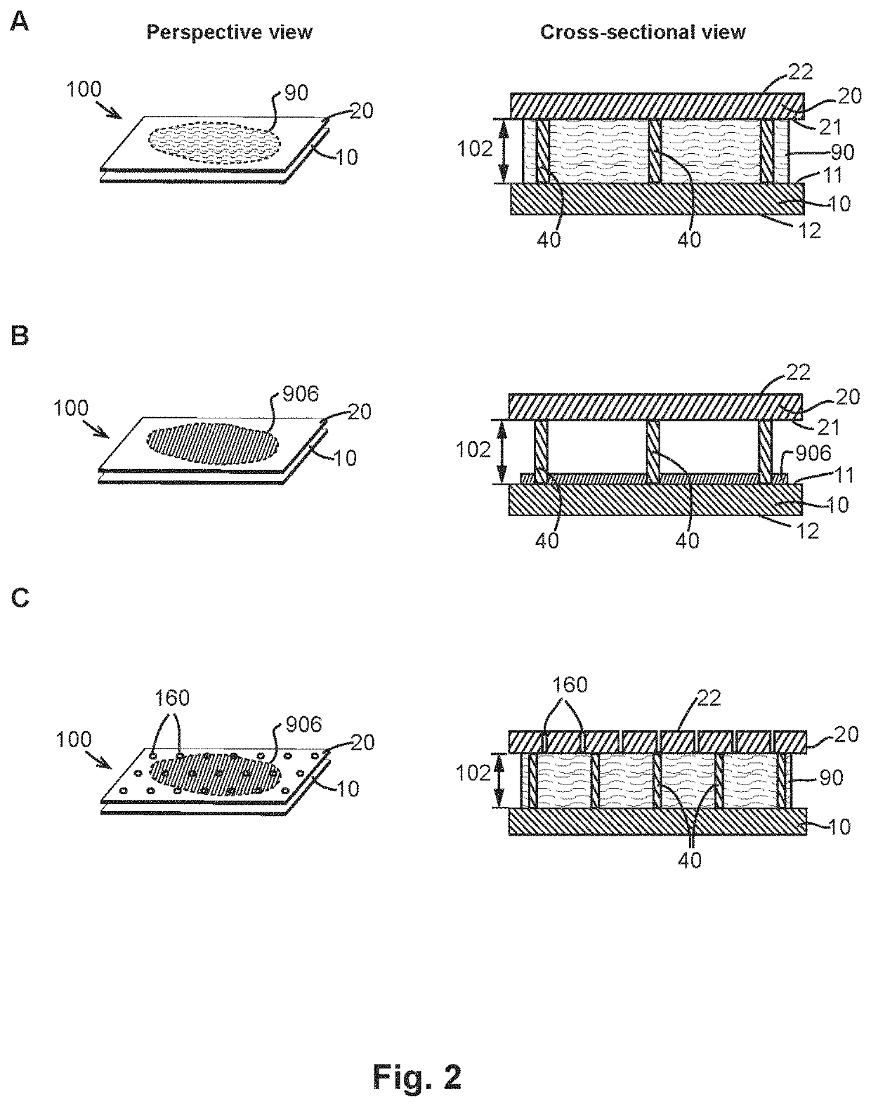 Sample collection and handling for delayed analysis