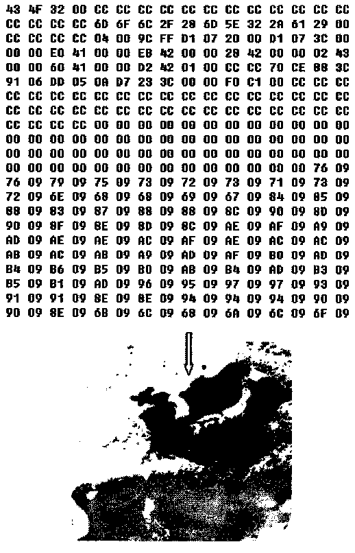 A system for displaying distributed electricity usage