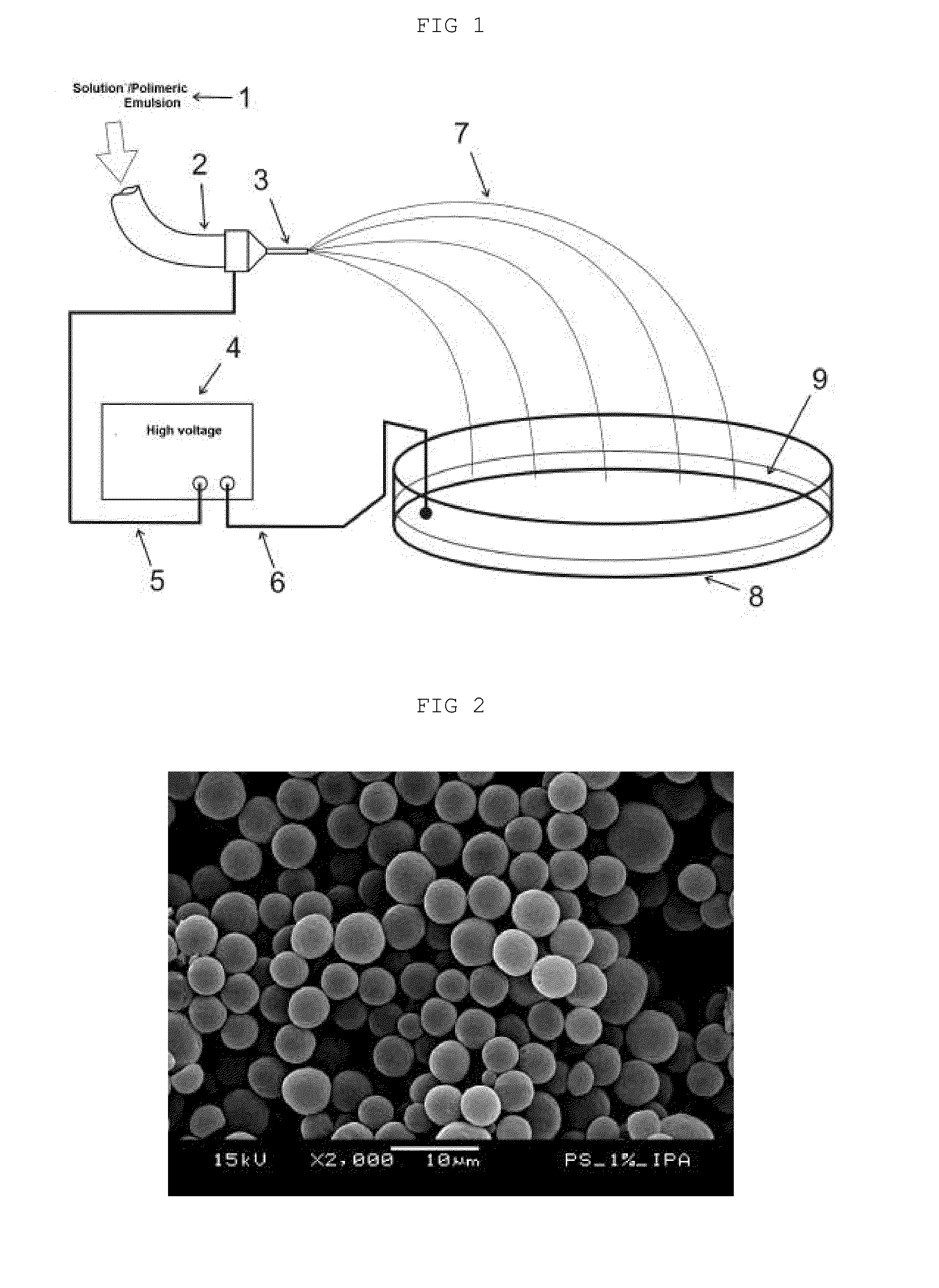 Process for producing polymeric structures that have activated surfaces and activated polymeric structures
