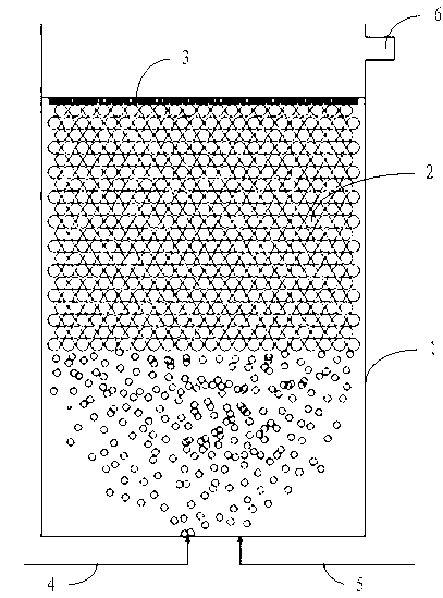 Light filter material for aerated biological filter tank and preparation method thereof