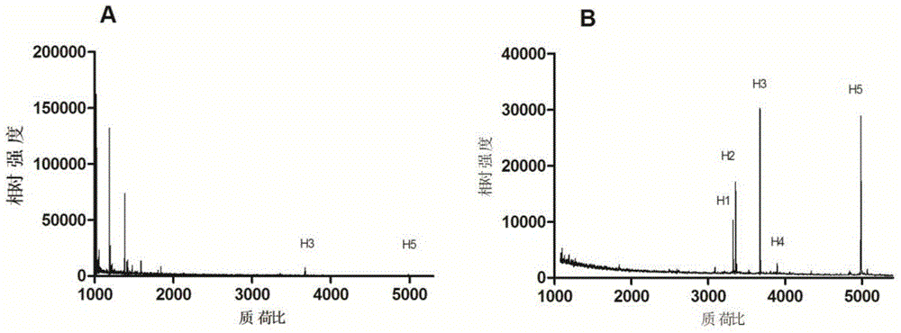 Method for enriching and purifying glycosylation peptides by nano chitosan derivative