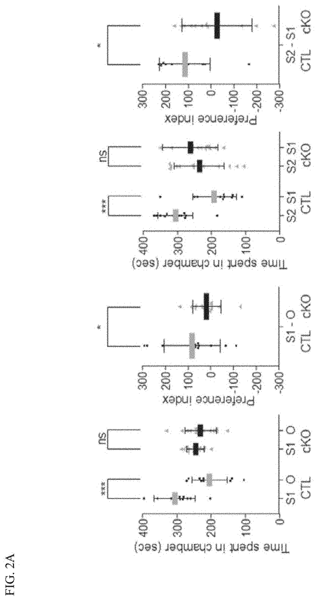 Schizophrenia animal model and preparation method therefor