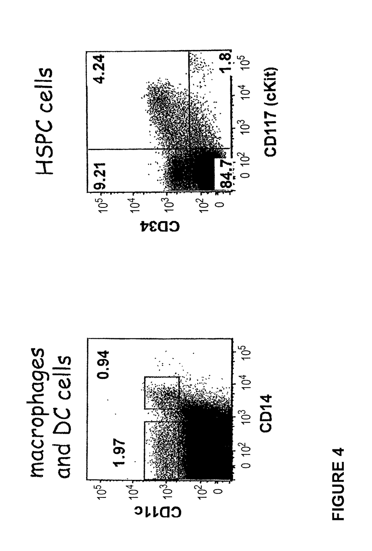 Transgenic immunodeficient mouse expressing human SIRP-alpha