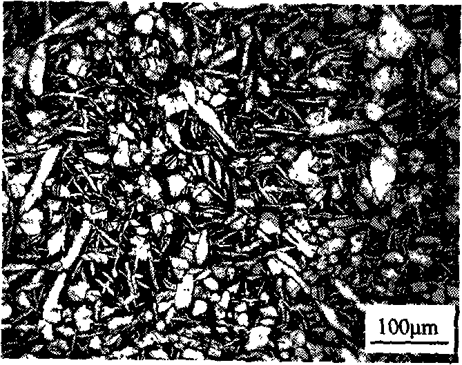 Grain refining method of aluminium bronze