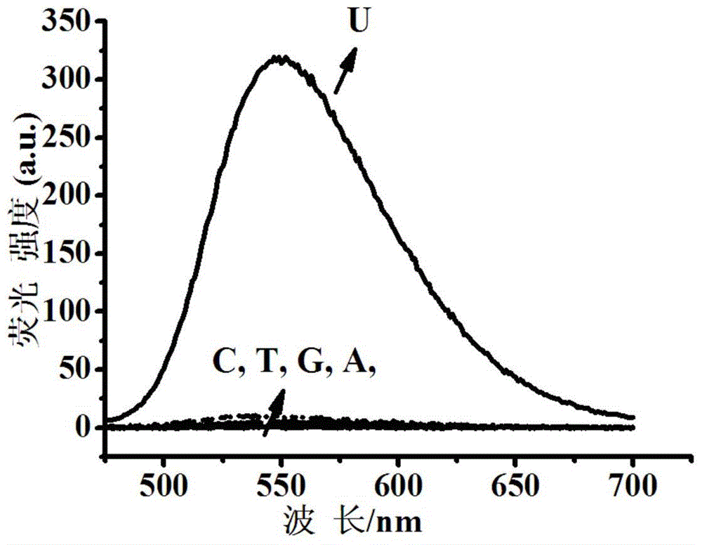 Fluorescent dye with nitrobenzimidazole as RNA (ribonucleic acid) recognition group as well as preparation method and application of fluorescent dye