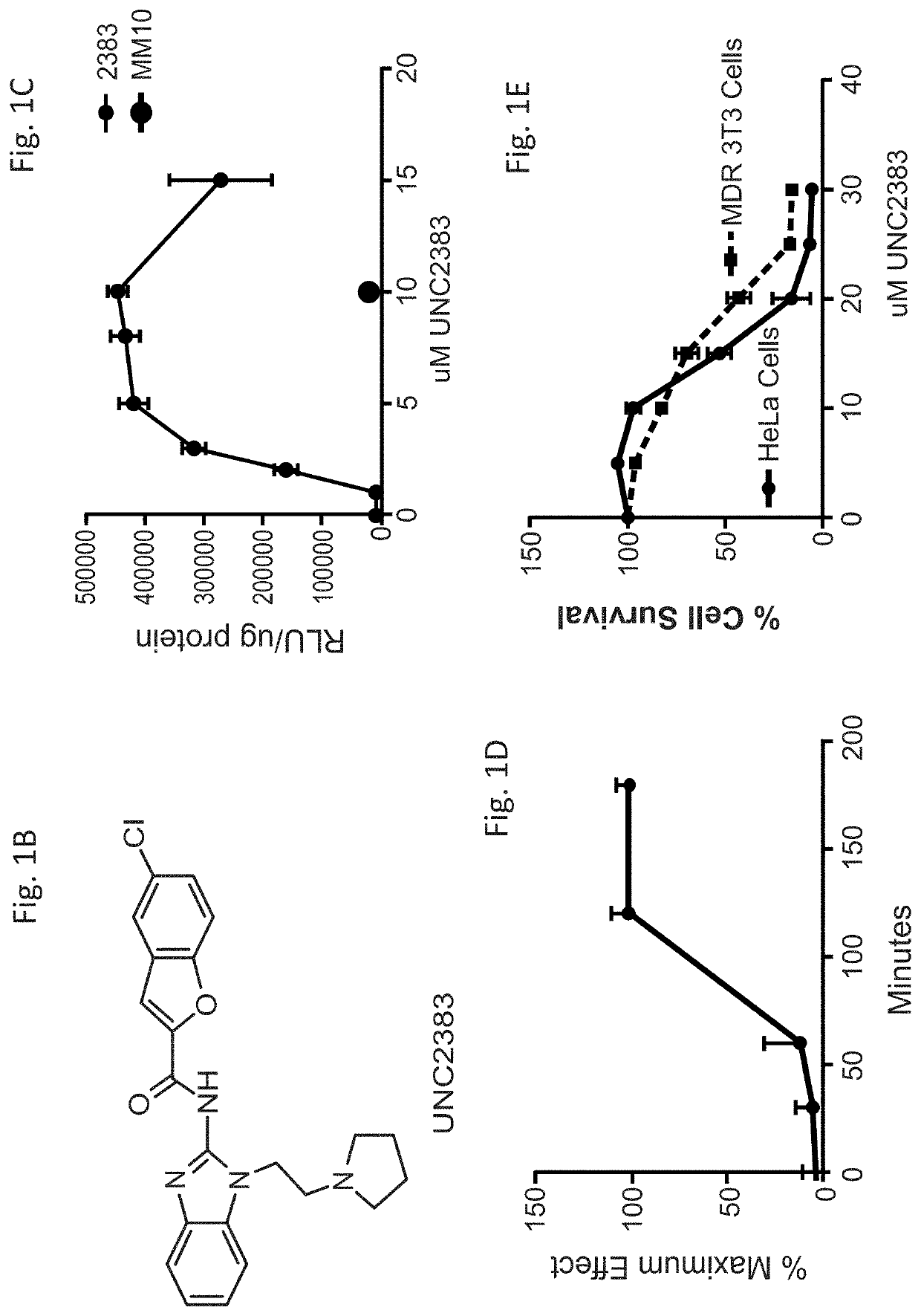 Benzimidazoles that enhance the activity of oligonucleotides