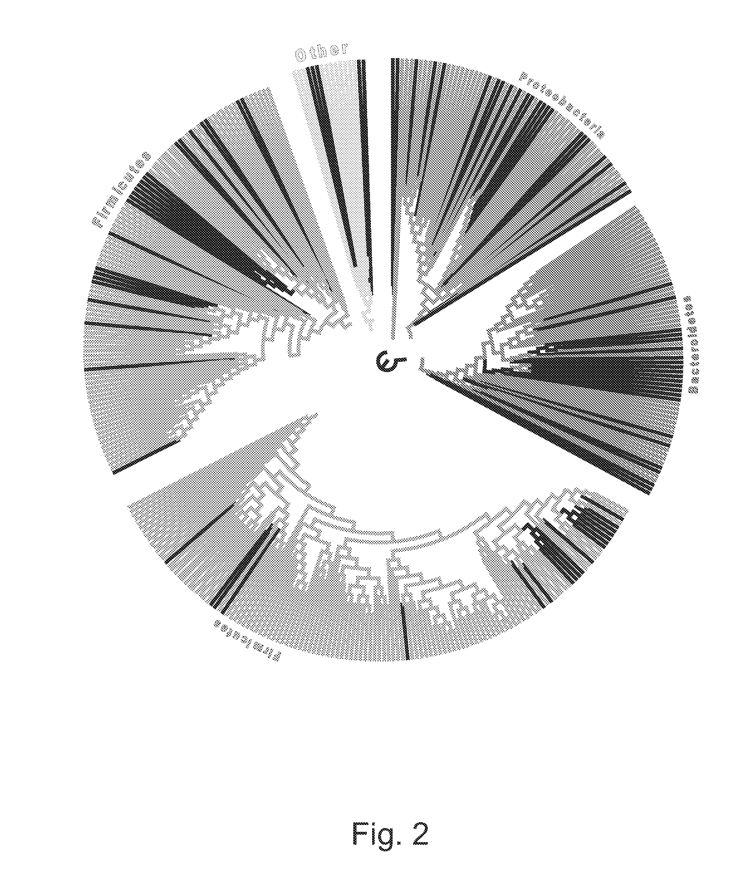 Methods and kits for detecting adenomas, colorectal cancer, and uses thereof