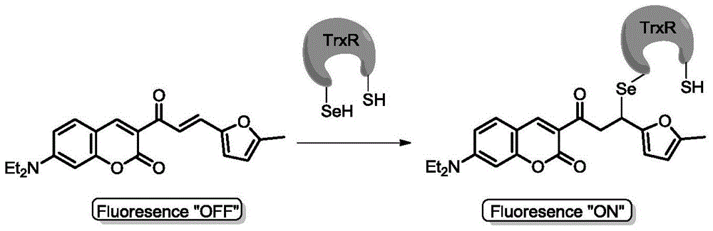 A fluorescent probe for thioredoxin reductase and its preparation method and application