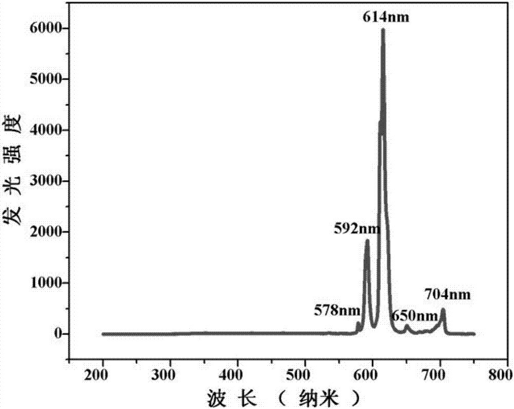 Europium fluorescent probe and test paper based on diphenic acid and application thereof in the detection of p-phenylenediamine