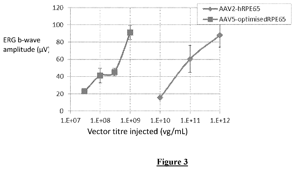 Optimized RPE65 promoter and coding sequences