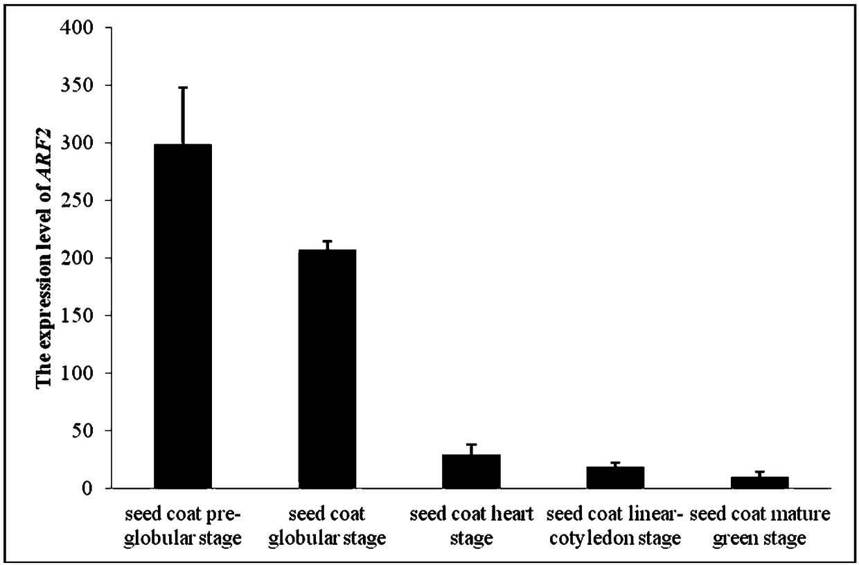 Method for detecting gene with plant flavonoid biosynthesis positive regulation function