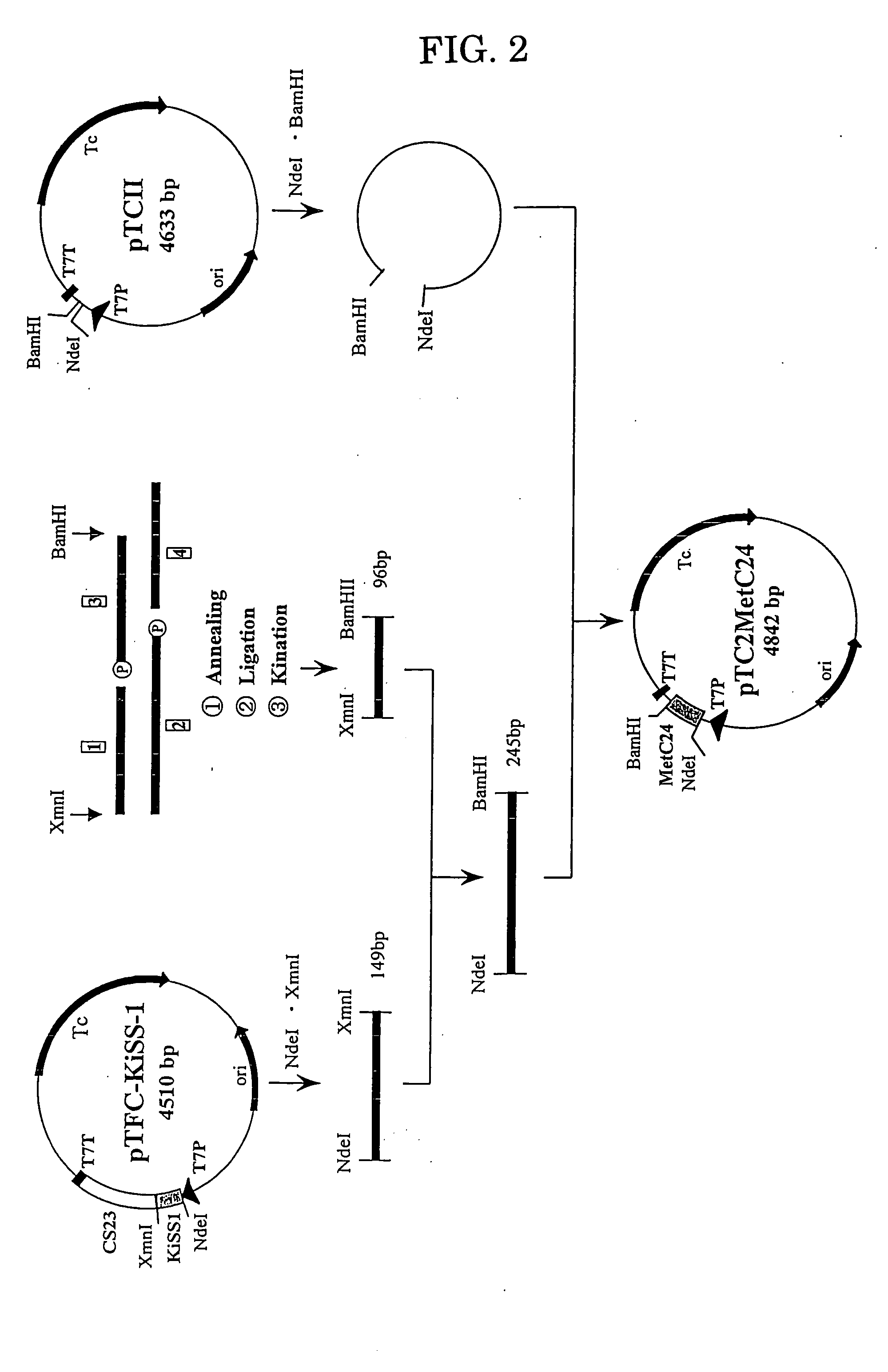 Process for producing kiss-1 peptide