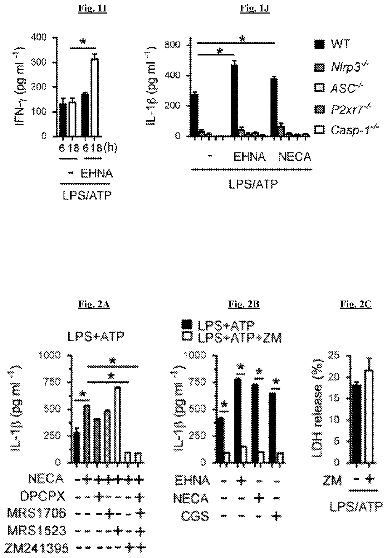 Compositions and methods useful for treating or preventing liver diseases or disorders, and promoting weight loss