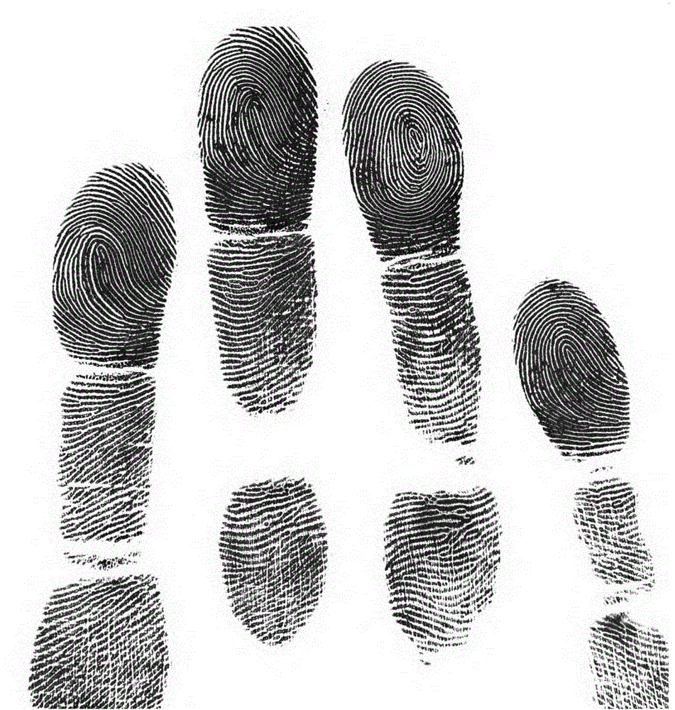 Method for comparing four-slap fingerprint based on feature point set segmentation and RST invariant features