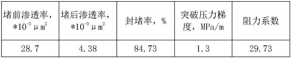 Compound polymer type profile control agent for low-permeability sandstone reservoir and use method of profile control agent