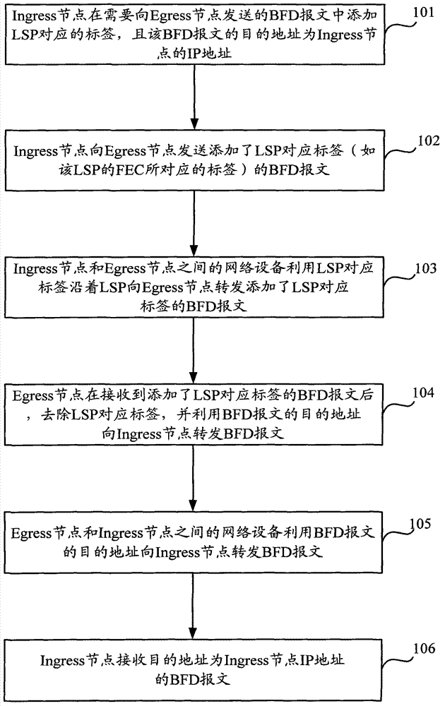 Method and apparatus for transmitting BFD (bidirectional forwarding detection) message during LSP (label switched path) detection by BFD