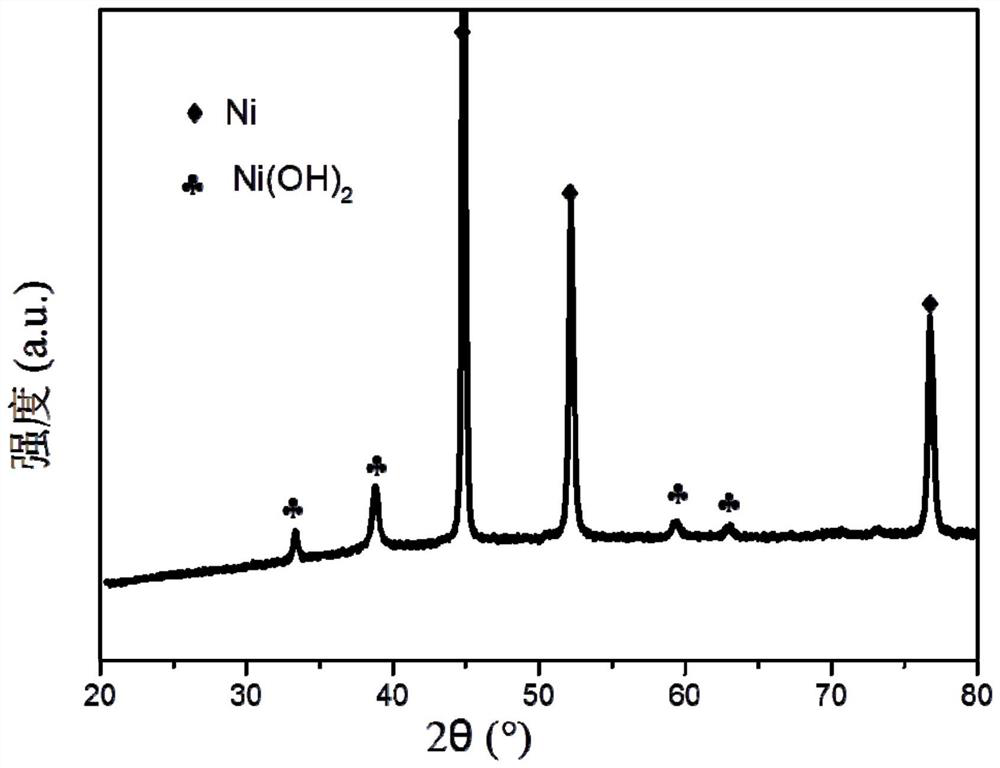 A kind of self-supporting nickel phosphide catalyst and its preparation method and application