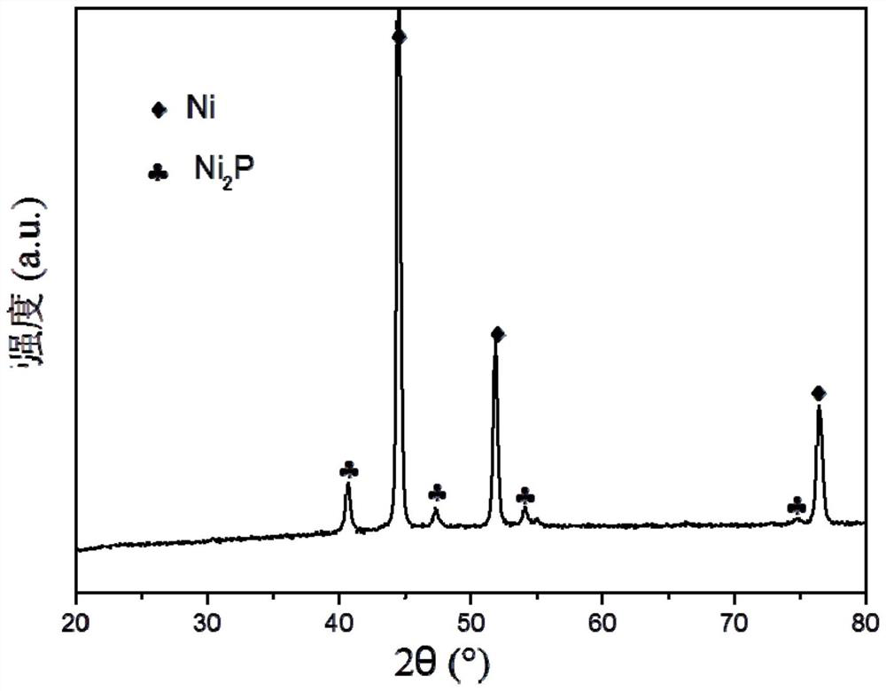 A kind of self-supporting nickel phosphide catalyst and its preparation method and application