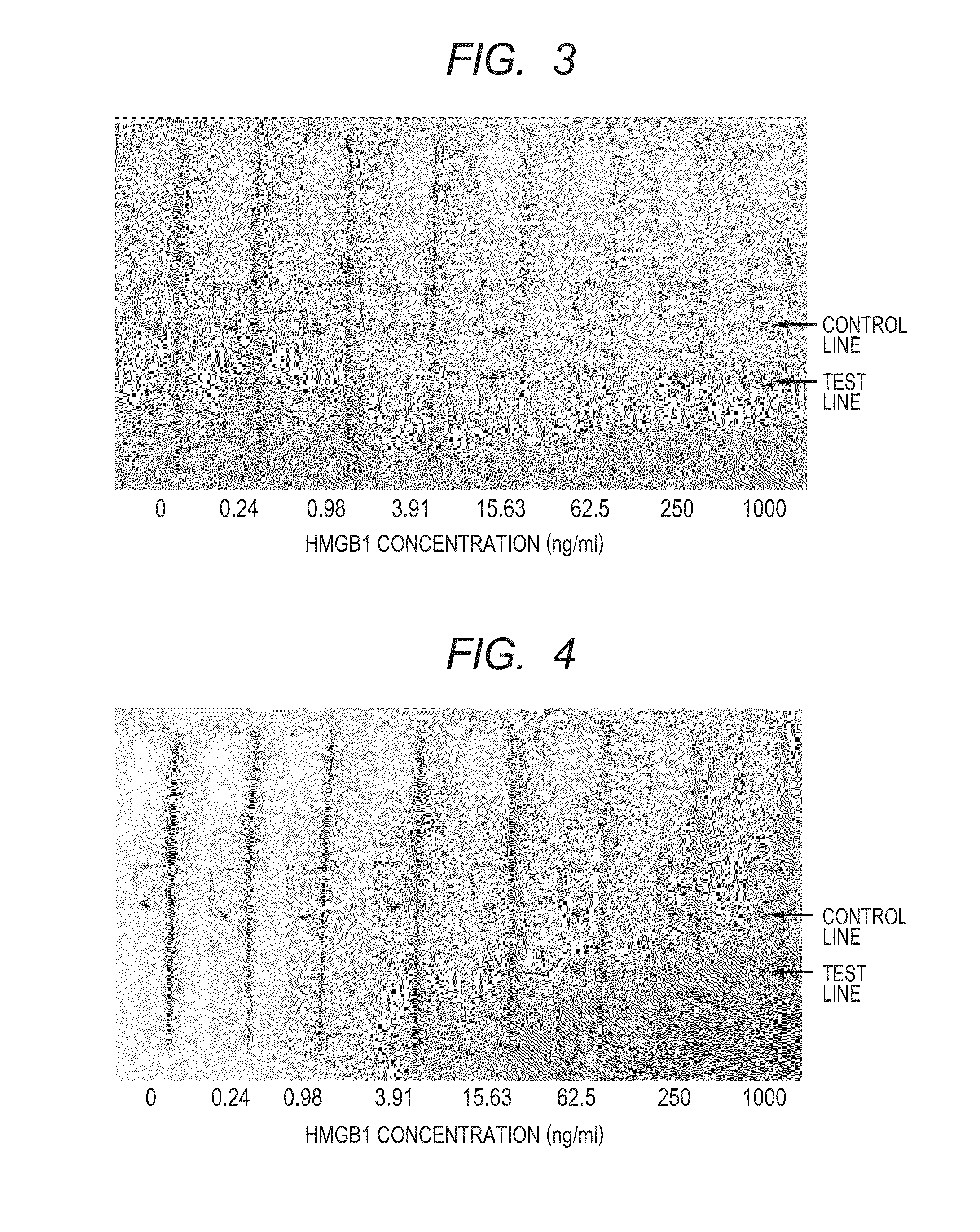 Immunoassay method and immunoassay kit