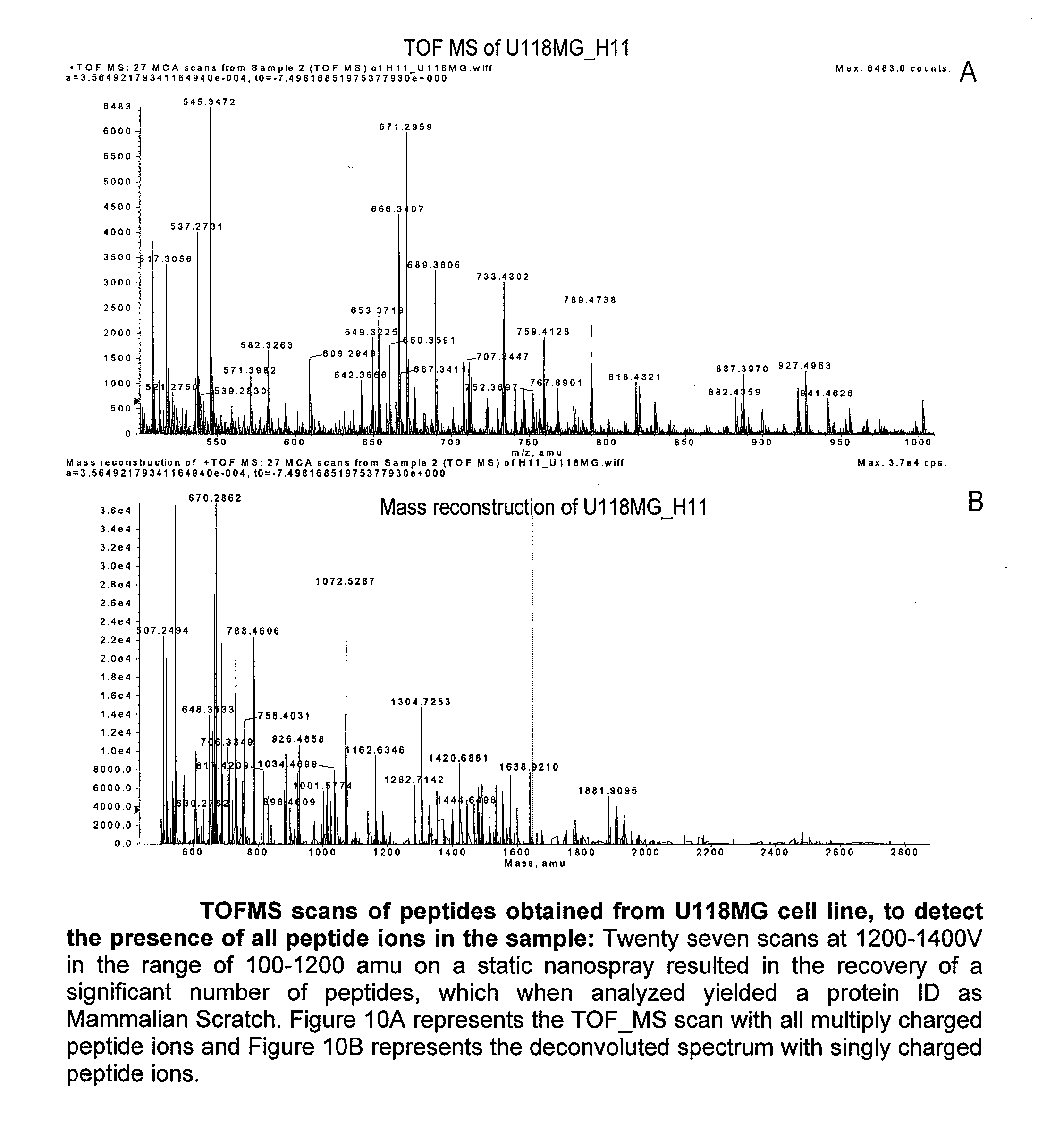 Novel cancer-associated antigen