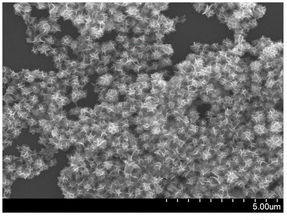 Rhodium nanometer catalyst as well as preparation method and application thereof