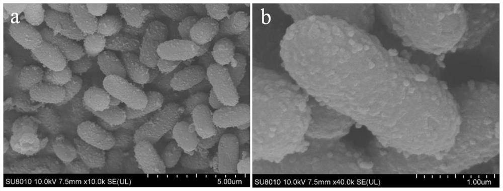 A double-template multi-level porous carbon-based material and its preparation method and application