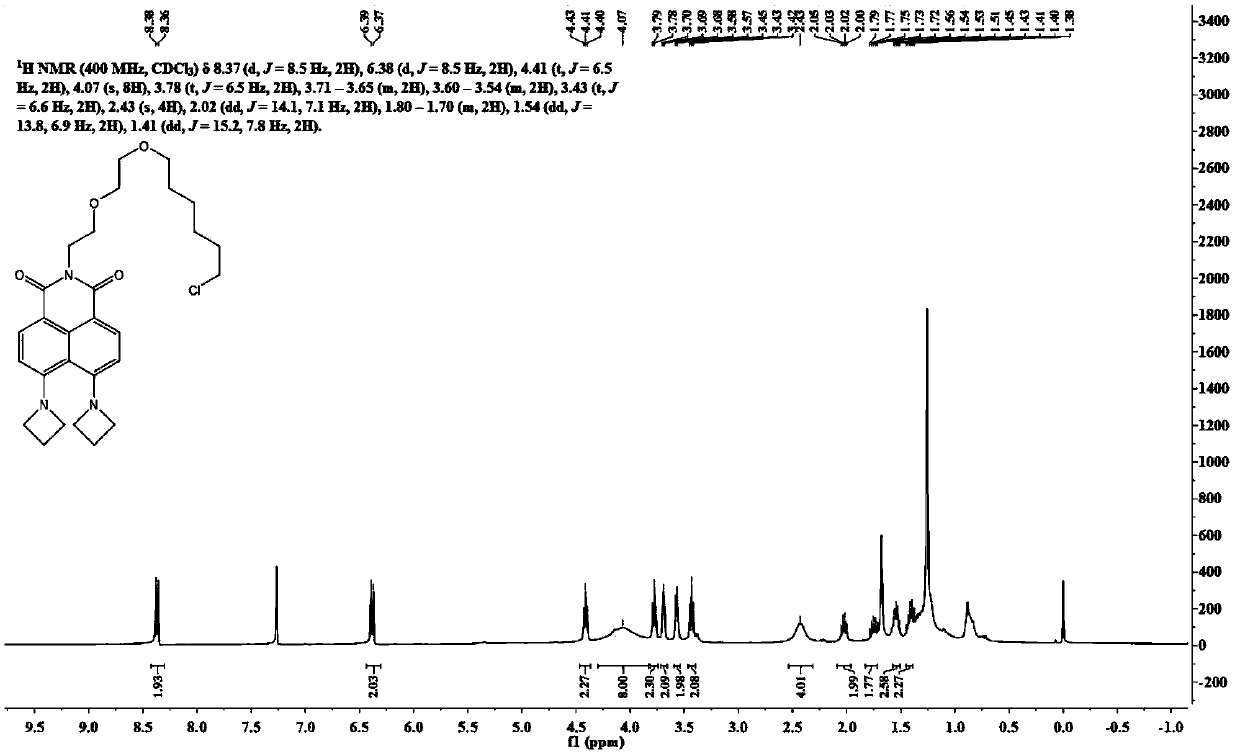 488 nm excited no-clean Halo-tag probe as well as synthesis and biological application thereof