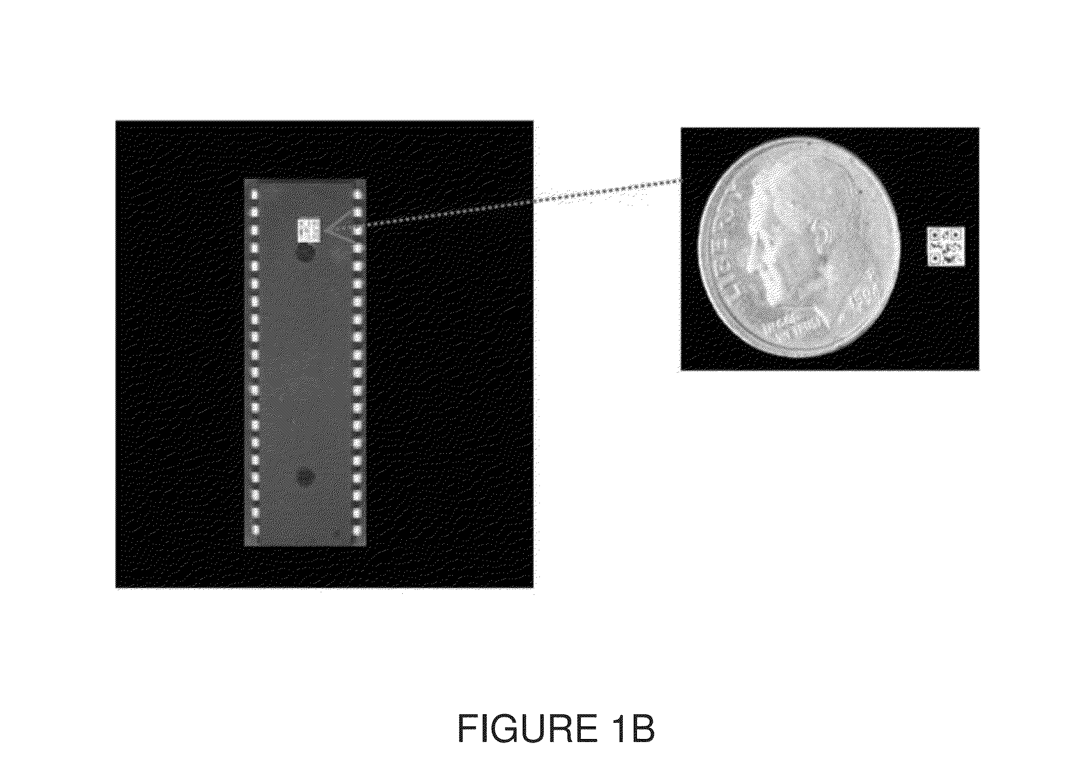 Method and System for Verification and Authentication Using Optically Encoded QR Codes