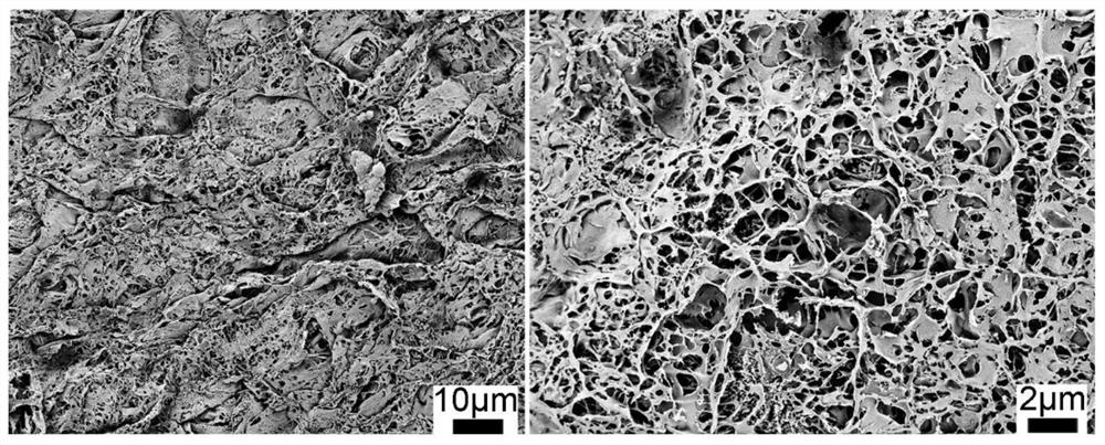 A kind of silk protein airgel for triboelectric nanogenerator and its preparation method and triboelectric nanogenerator